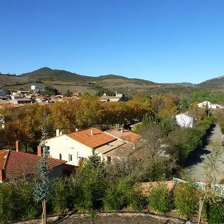 Xenia
